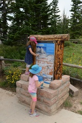 Water Bottle Filling Station